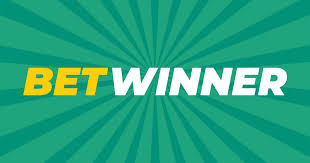 Bet Winner partners полноценное руководство по партнерской программе