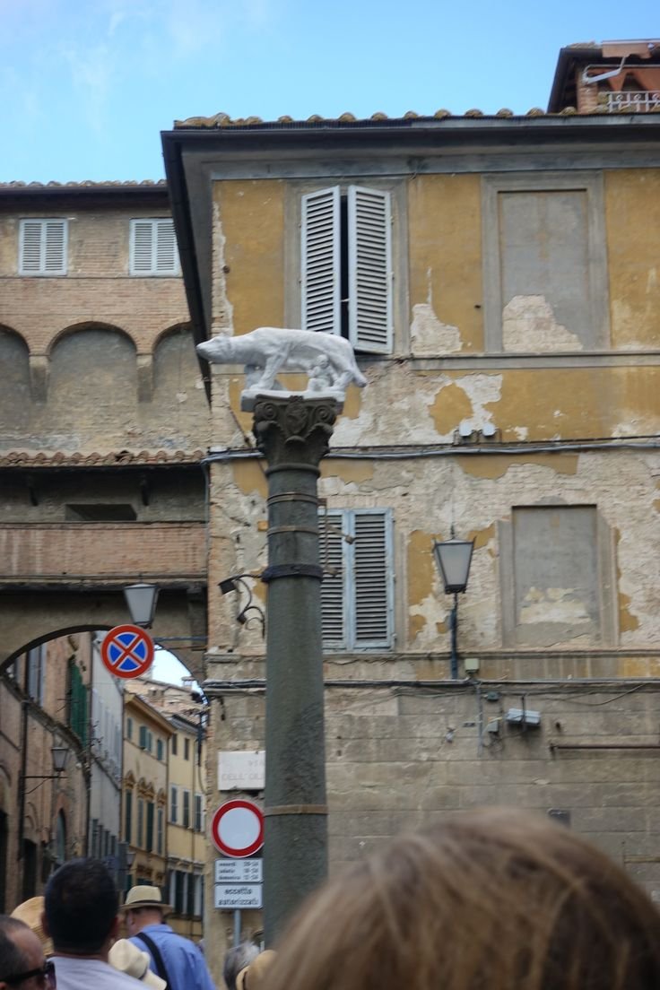 Chicken road, chicken road gioco